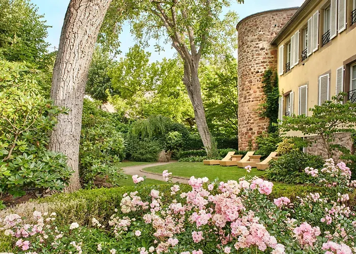 Hotel & Spa A La Cour D'Alsace By Happyculture
