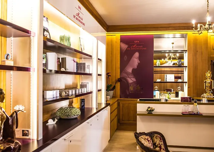 Hotel Le Cep & Spa Beaune , France