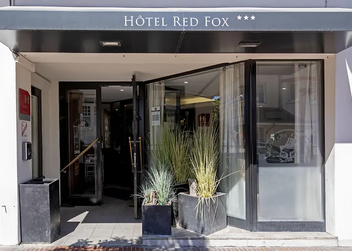 Red Fox