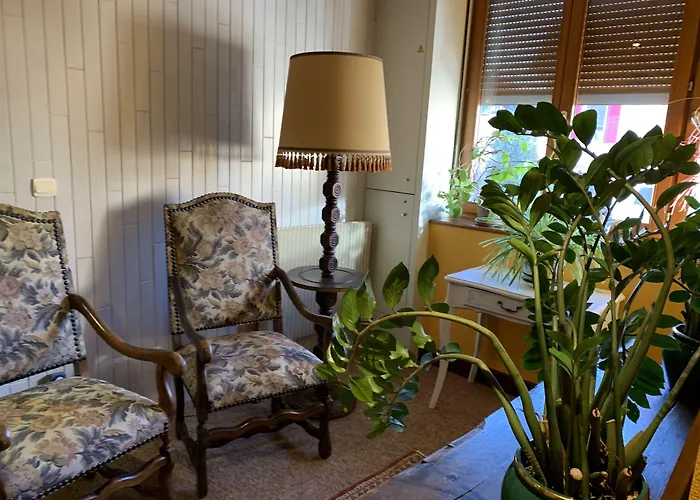 Logis-Cit'Hotel Des Vosges 5 Rue De La Gare