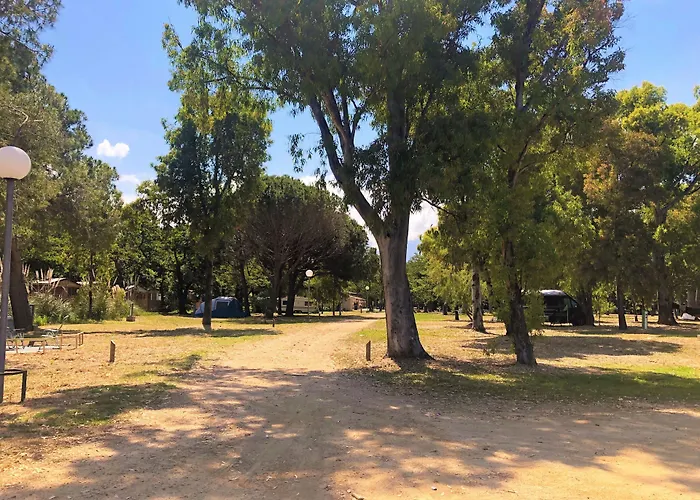 Camping Dolce Vita Calvi , Francia