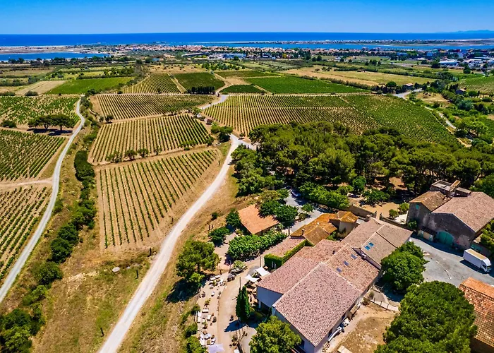 Chateau Le Bouis Hotel & Wine