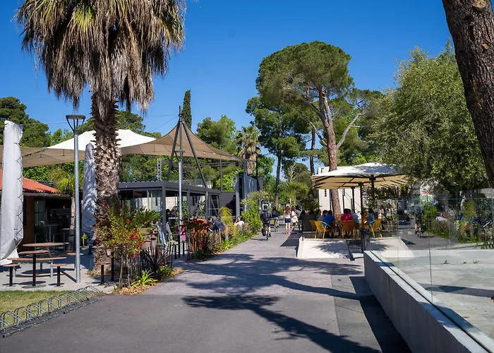 Taxo Les Pins