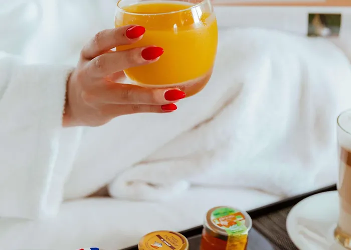 Pullman Toulouse Hotel Blagnac, France