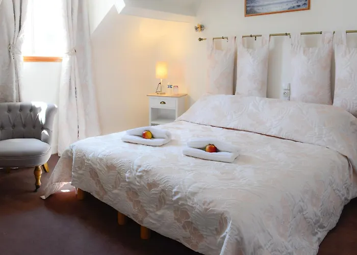 Logis Hotel Et Restaurant Du Dauphin Sees, France