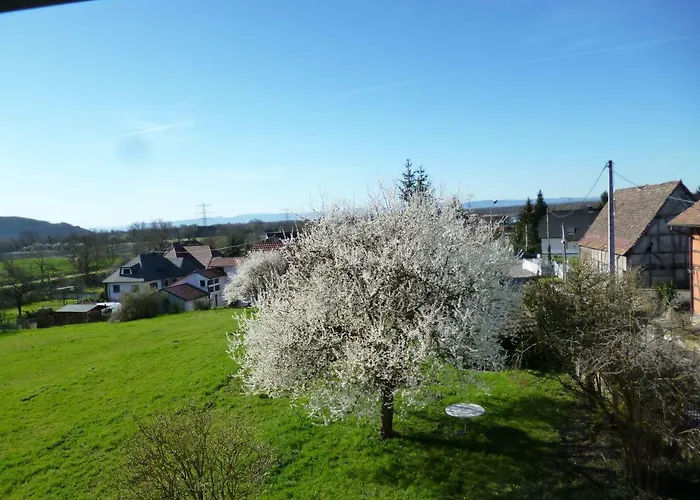 Albrecht Guest Apartement