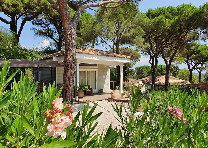 Villa Saint Tropez -Parc Oasis Gassin, Frankreich