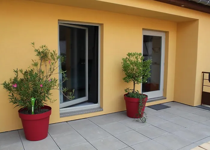 Maison D'Hotes Le Cep D'Or Alsace